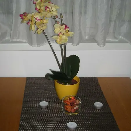 Apartment Orhideja
