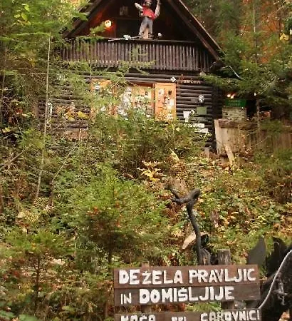 Apartment Orhideja Podcetrtek